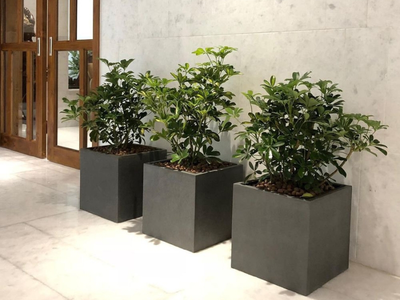 cube-fiber-planter