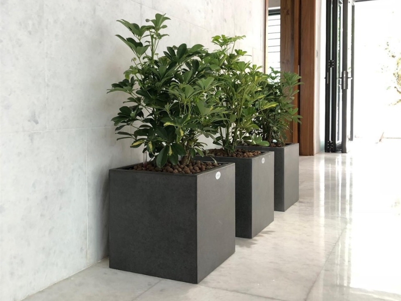 cube-fiber-planter