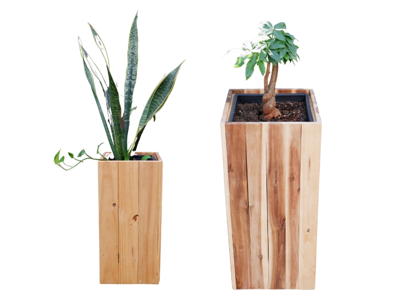 square-cylinder-pine-wooden-planter