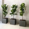cube-fiber-planter