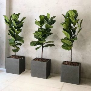 cube-fiber-planter