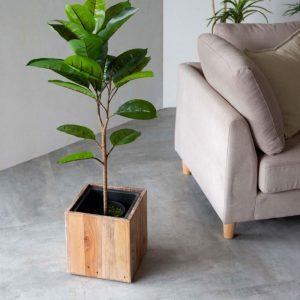 cube-pine-wooden-planter