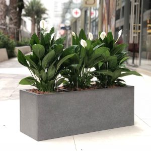 rectangular-fiber-planter